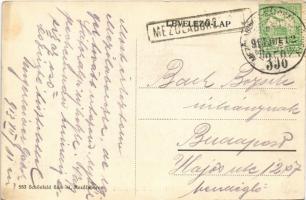 1913 Mezőlaborc, Medzilaborce; Lovag Skoda kastély télen. Schönfeld Sámuel kiadása / castle in winte...