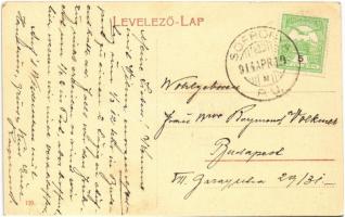 1914 Arad, megyeház, Neuman ház, Andrássy tér, üzlet / county hall, shops, square