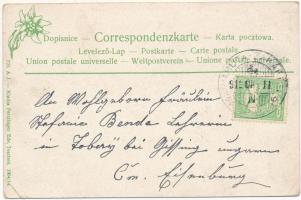 1912 Máriahuta-Zakárfalva, Máriahutta-Zakarovce; vasútállomás, vonat. Feitzinger Ede 723. A.J. 1904/...