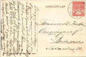 1917 Szamoslippó, Lipau; Sztán Sándor úri lak, kastély / villa castle