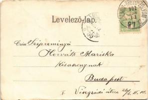 1902 Szliács, Slic; Buda és Pest, Belvedere szálloda, fürdőház / hotels, spa. Art Nouveau, floral  (...