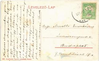 1908 Huszt, Chust; Vár a Rákóczi lakóházzal, kastély. Ausländer Ignác kiadása / castle, villa (EK)