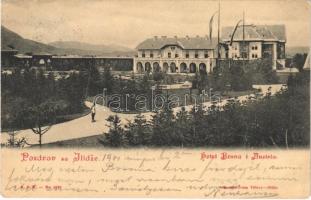 1901 Ilidza, Ilidze; Hotel Bosna i Austria
