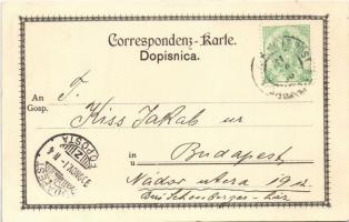 1900 Sarajevo, Landes-Regierungs-Gebäude, Vereinshaus, Berg Hum, Truppendivisions und Brigade Comman...