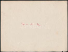 cca 1916 Lerch Egon sorhajóhadnagy, Zaccaria fregatthadnagy és az U12 tengerealattjáró legénysége / ...