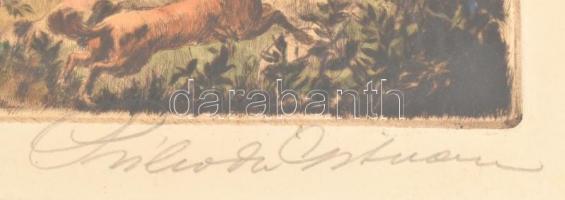 Prihoda István (1891-1965): Majális. Színezett rézkarc, papír, jelzett. Üvegezett fa keretben, 25×32...