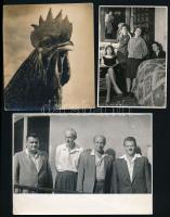cca 1968 előtt készült felvételek, Tiszavölgyi József (1909-?) budapesti fotóriporter hagyatékából 13 db vintage fotó, többsége jelzett és feliratozott, 9x14 cm és 18x24 cm között