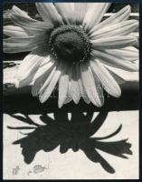 cca 1979 Iván Béla: Születésnapra, feliratozott vintage fotóművészeti alkotás, a magyar fotográfia avantgarde korszakából, 23x18 cm