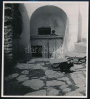 cca 1939 Sopron, Horváth Mihály: Chat noire, feliratozott vintage fotóművészeti alkotás, 19x17 cm