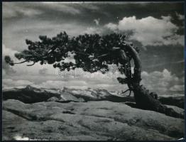cca 1939 Szüllő Géza feliratozott vintage fotóművészeti alkotása, 18x24 cm