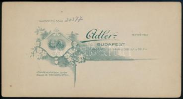 cca 1899 Budapest, Adler fényképész műtermében készült, keményhátú, vintage fotó, 20,5x10,9 cm