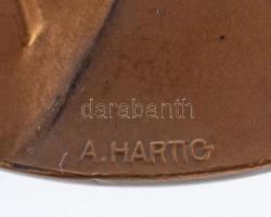 Ausztria ~1915. "Károly Ferenc József főherceg / Osztrák flotta - Hadsegélyező hivatal" Br...