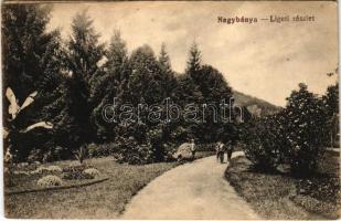 Nagybánya, Baia Mare; Ligeti részlet / park (EK)