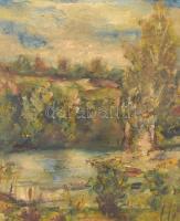 Szilágyi J 965 jelzéssel: Őszi táj: Olaj, karton. Fa keretben. 26x35 cm cm