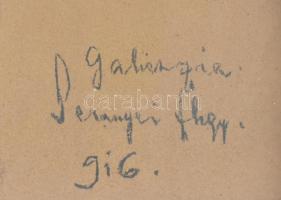 Pernyei (?) fhgy.916 jelzéssel: Egy gazdászati tiszt (népfelkelő) portréja. I. világháborús karikatú...