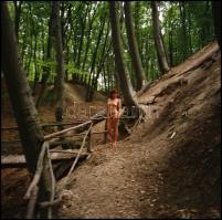 cca 1986 Egy városi lány kis kalandja az erdőben, Menesdorfer Lajos (1941-2005) budapesti fotóművész...