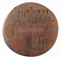 Kiss Nagy András (1930-1997) 1973. "Apáczai Csere János díj" kétoldalas Br plakett (462g/8...