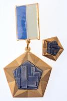 Vincze Dénes (1914-1972) ~1970. Az Építőipar Kiváló Dolgozója aranyozott, festett kitüntetés miniatűrrel, dísztokban T:1