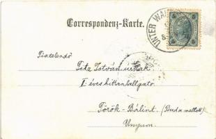 1903 Seibersdorf, Schloss, Kirche, Gemeinde, Gasthaus / castle, church, town hall, restaurant and ho...