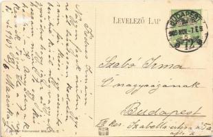 1909 Budapest, Bleriot repülőgépe az Erzsébet híd felett (EB)