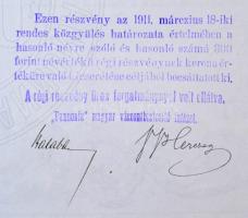 Budapest 1911. "Pannónia Magyar Viszontbiztosító Intézet" névre szóló részvénye 600K-ról, ...