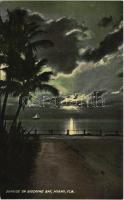 Miami (Florida), sunrise on Biscayne bay, sailboat