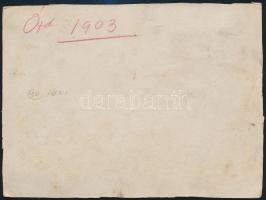 1903 Ózd, kúria részlete, keményhátú fotó, 12×17 cm