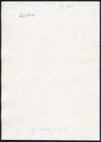 Buday J. László (?-?): Szépítkezés, jelzetlen fotó, 24×18 cm