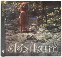 Akt album. Bp., 1984. Corvina. Kiadói kartonálásban.