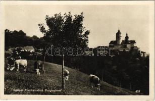 Fraknó, Forchtenstein; Schloss / vár, tehenek / castle, cattle