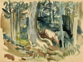 Bartha László (1908-1998): Öreg fatörzs. Akvarell, papír, jelzés nélkül. Hátoldalához ragasztva Arte Galéria tanúsítványa. Üvegezett fa keretben. 30,5x42,5 cm