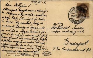 1939 Nagyberezna, Velykyi Bereznyi, Velky Berezny; park, utca, híd, menedékház a Javornik hegyen. Mo...