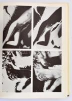 Passuth Krisztina: Moholy-Nagy. Bp., 1982, Corvina, 430 p. Kiadói egészvászon kötésben, kissé szakad...