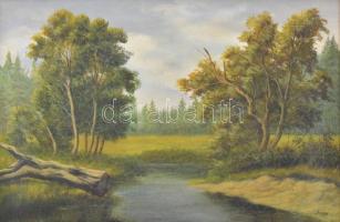 Najan jelzéssel: Vízparti táj. Olaj, vászon. Díszes fa keretben, 44,5×67 cm
