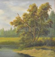 Najan jelzéssel: Vízparti táj. Olaj, vászon. Díszes fa keretben, 44,5×67 cm