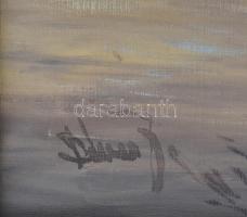 Dénes János (1933-?): Vitorlás. Olaj, vászon. Fa keretben. 50x70 cm