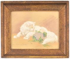 Rainerné Istvánffy Gabriella (1875-1964): Cica ibolyacsokorral. Vegyes technika, papír. Jelzett. Üve...