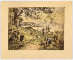 Aszódi Weil Erzsébet (1901-1976): A nagy diófánál (Dunakanyar).  Színezett rézkarc, karton. Jelzett....