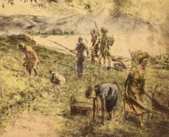 Aszódi Weil Erzsébet (1901-1976): A nagy diófánál (Dunakanyar).  Színezett rézkarc, karton. Jelzett....