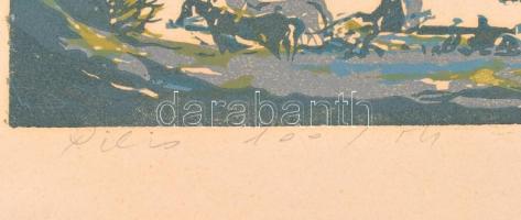 Török Endre (1926-1980): Pilis. Színes linómetszet, papír, jelzett, számozott (100/54), lap alja kis...