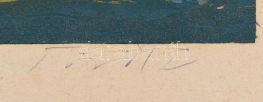 Török Endre (1926-1980): Pilis. Színes linómetszet, papír, jelzett, számozott (100/54), lap alja kis...