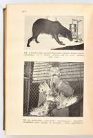 Völgyesi Ferenc: Minden a lélek. A démonológiától a gyógyhipnózisig. Bp., 1942, Dante. Harmadik, bőv...