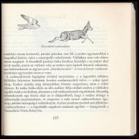 R. G. Pfeffer: Sólyom a kézen. Bp., 1988., Mezőgazdasági. Kiadói kopott papírkötés, intézményi bélye...