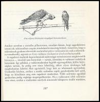 R. G. Pfeffer: Sólyom a kézen. Bp., 1988., Mezőgazdasági. Kiadói kopott papírkötés, intézményi bélye...