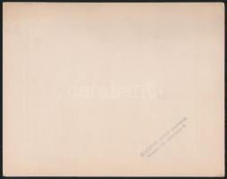 cca 1940 Bálozók, Schafer Ármin fotó kartonon 23x17 cm