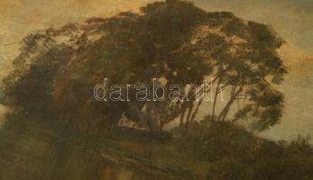 Báró Mednyánszky László (1852-1919): Folyóparti táj, 1880-as évek. Olaj, vászon, kartonra ragasztva....