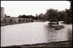 1960 Gyula, városi napokon készült kb 55 db negatív tartóban