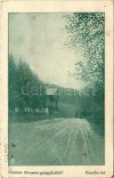 1909 Borosznó-fürdő, Brusno-kúpele (Borosznó, Brusznó, Brusno); Kornélia lak / villa (képeslapfüzetből / from postcard booklet) (EB)