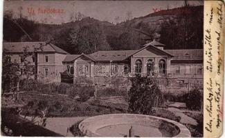 1900 Vihnye, Vyhnye; Új fürdőház / spa, new bath (fa)