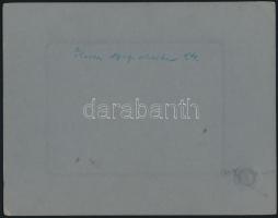 1909 Kassa, favágó gyerekek, kartonra kasírozott fotó, 8,5×11,5 cm